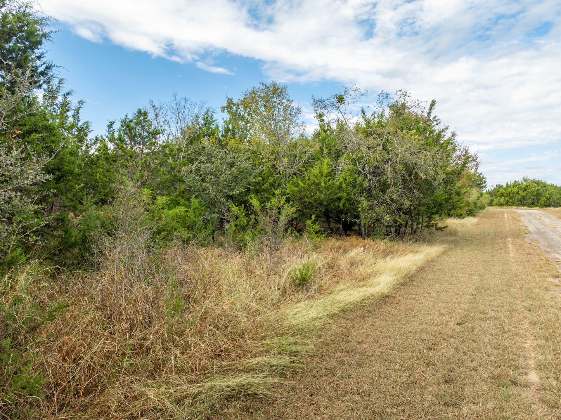 0.33 acres in Hill County - photo 6