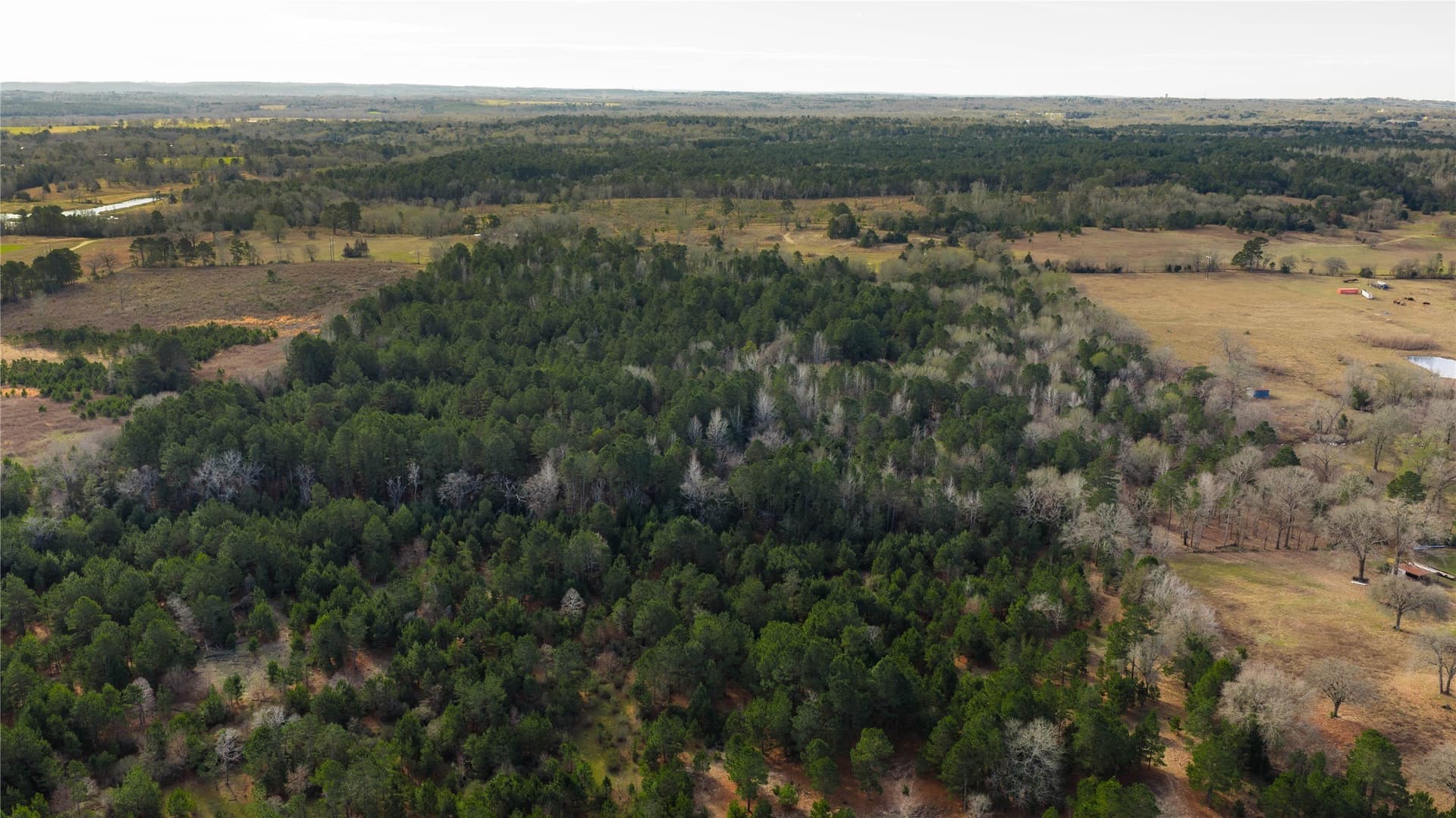 59.05 acres in Anderson County - photo 33