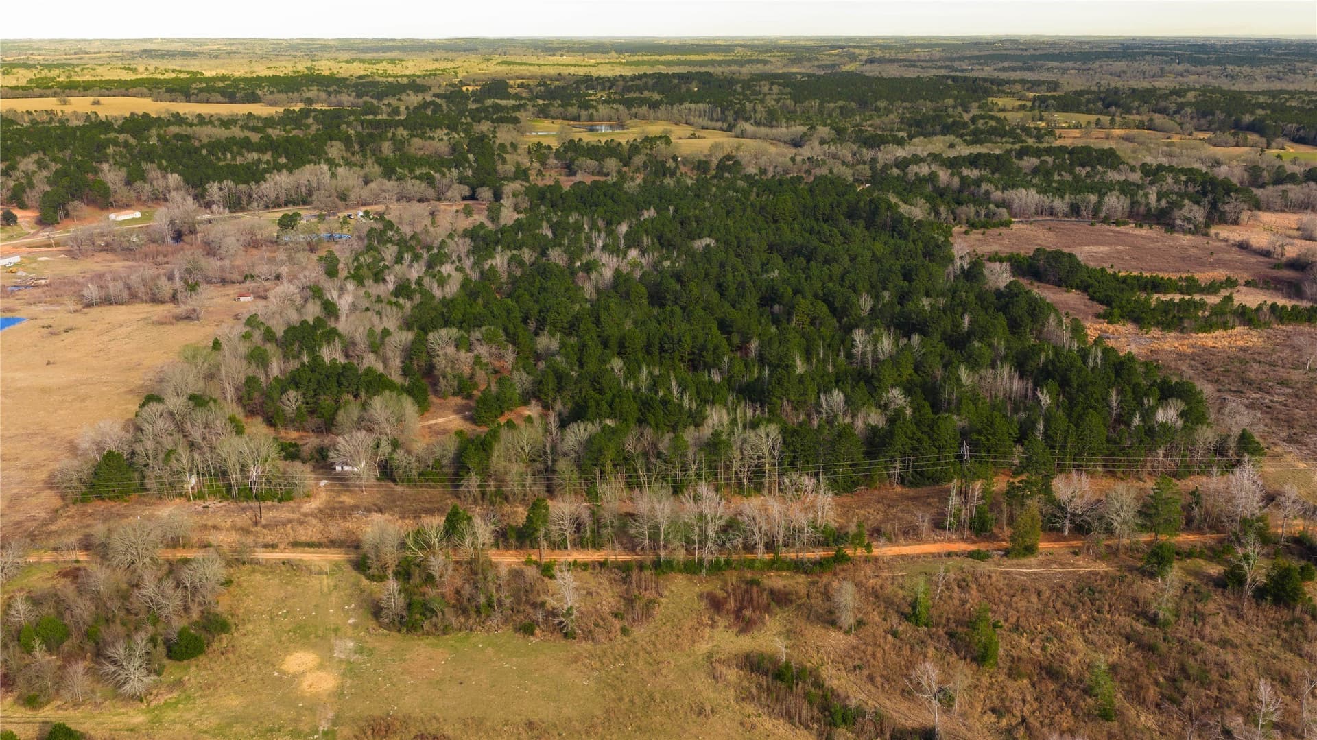 59.05 acres in Anderson County - photo 27