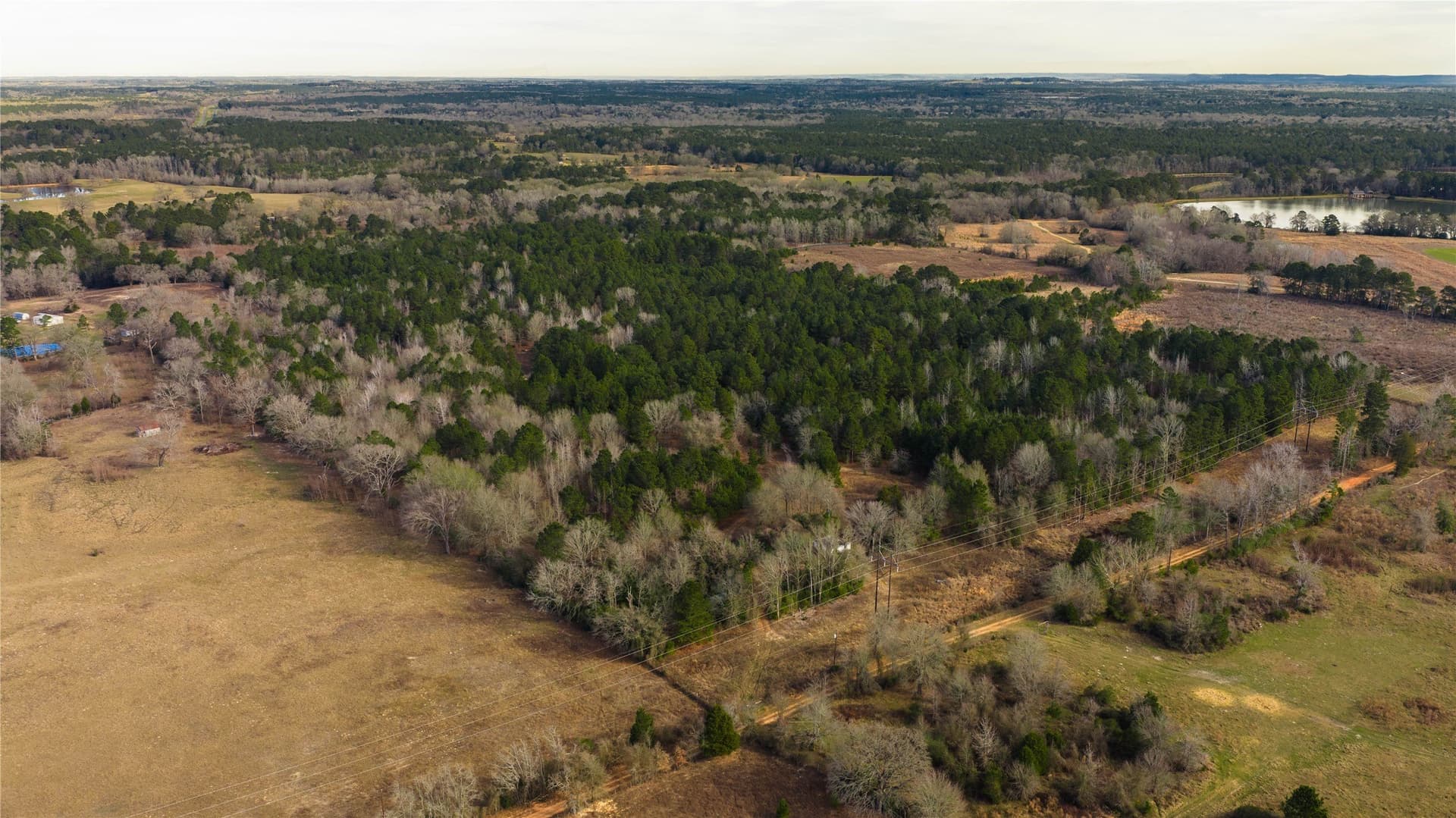 59.05 acres in Anderson County - photo 28