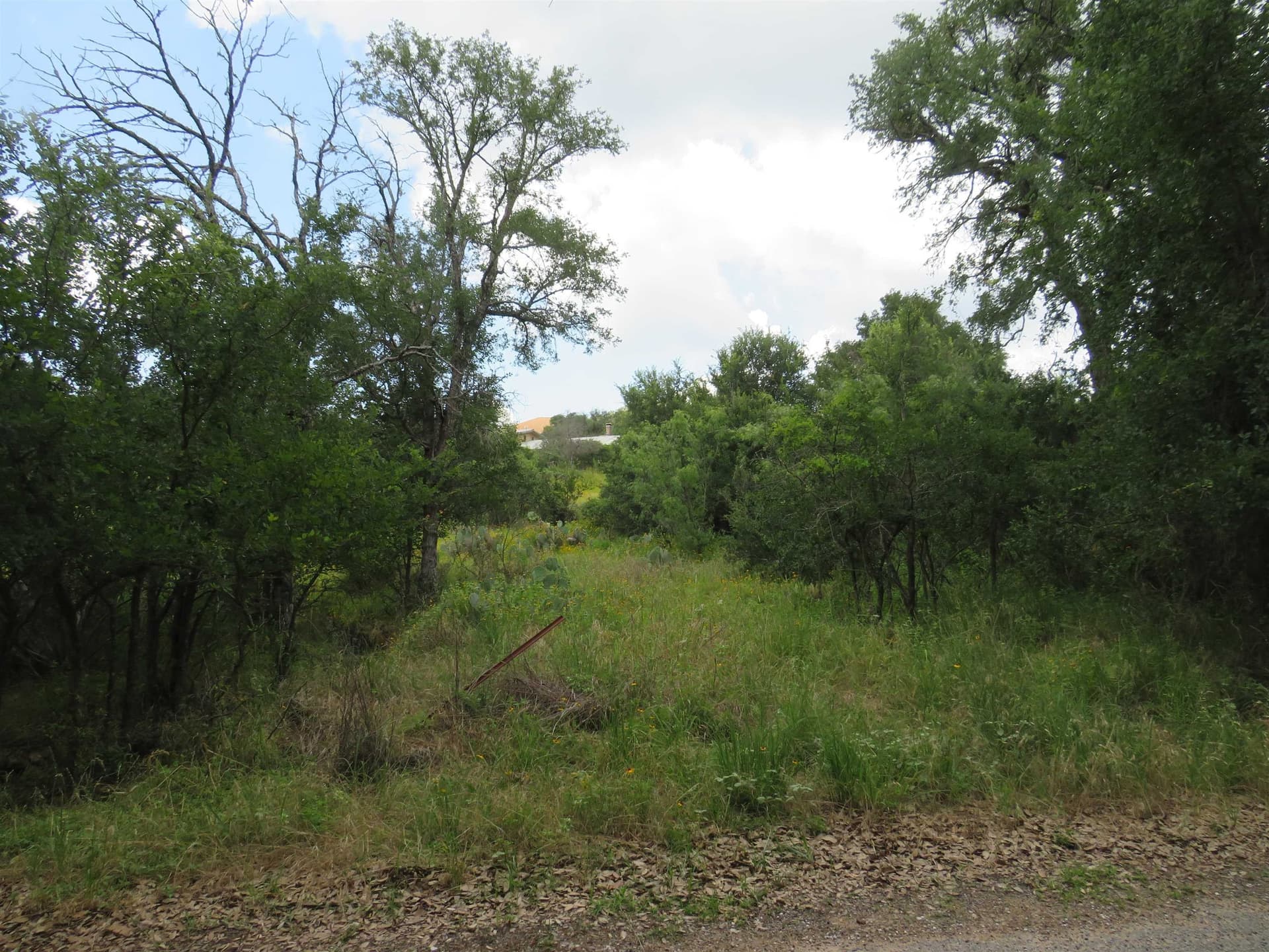 0.39 acres in Burnet County gallery image 2