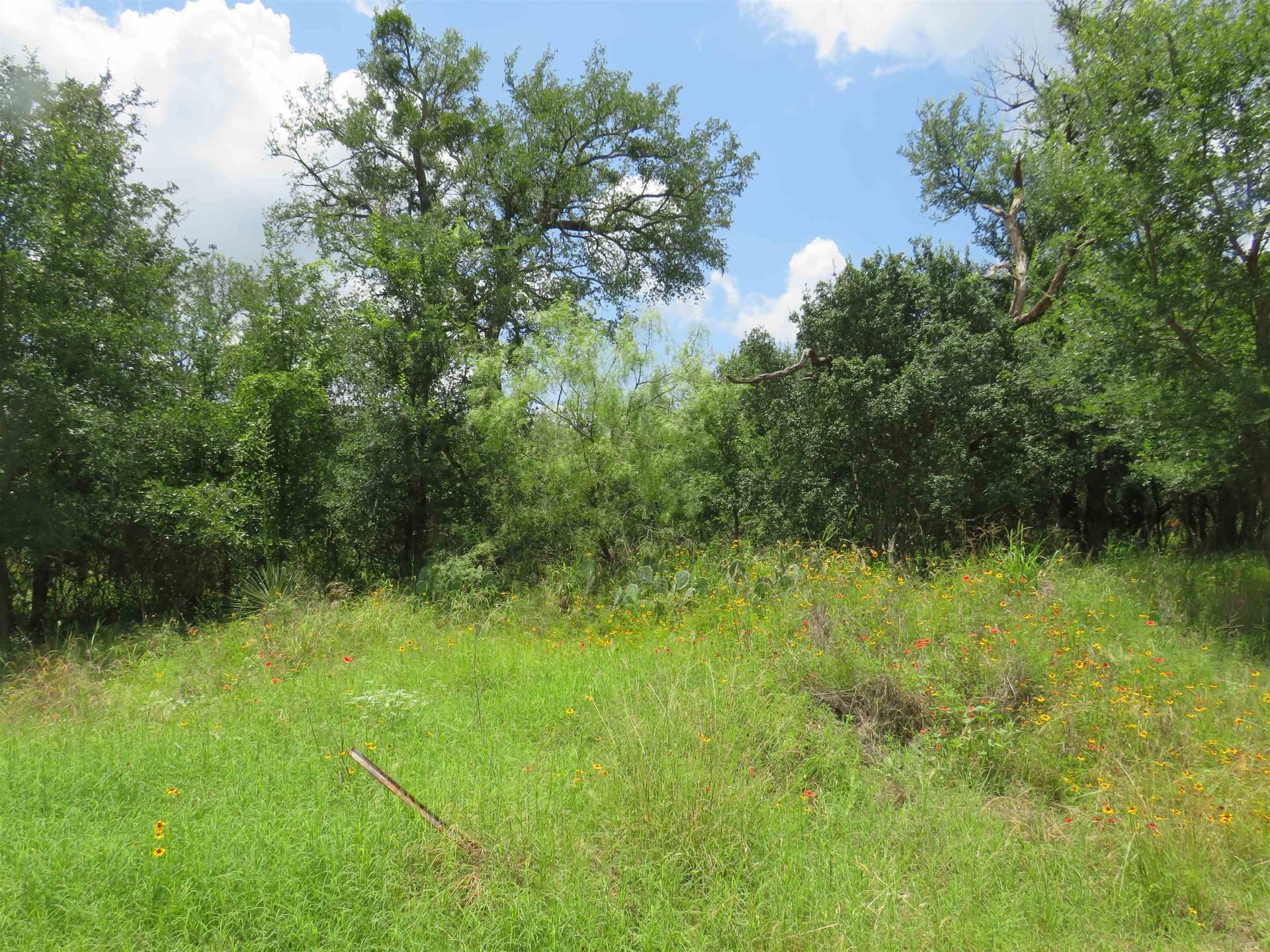 0.39 acres in Burnet County gallery image 4