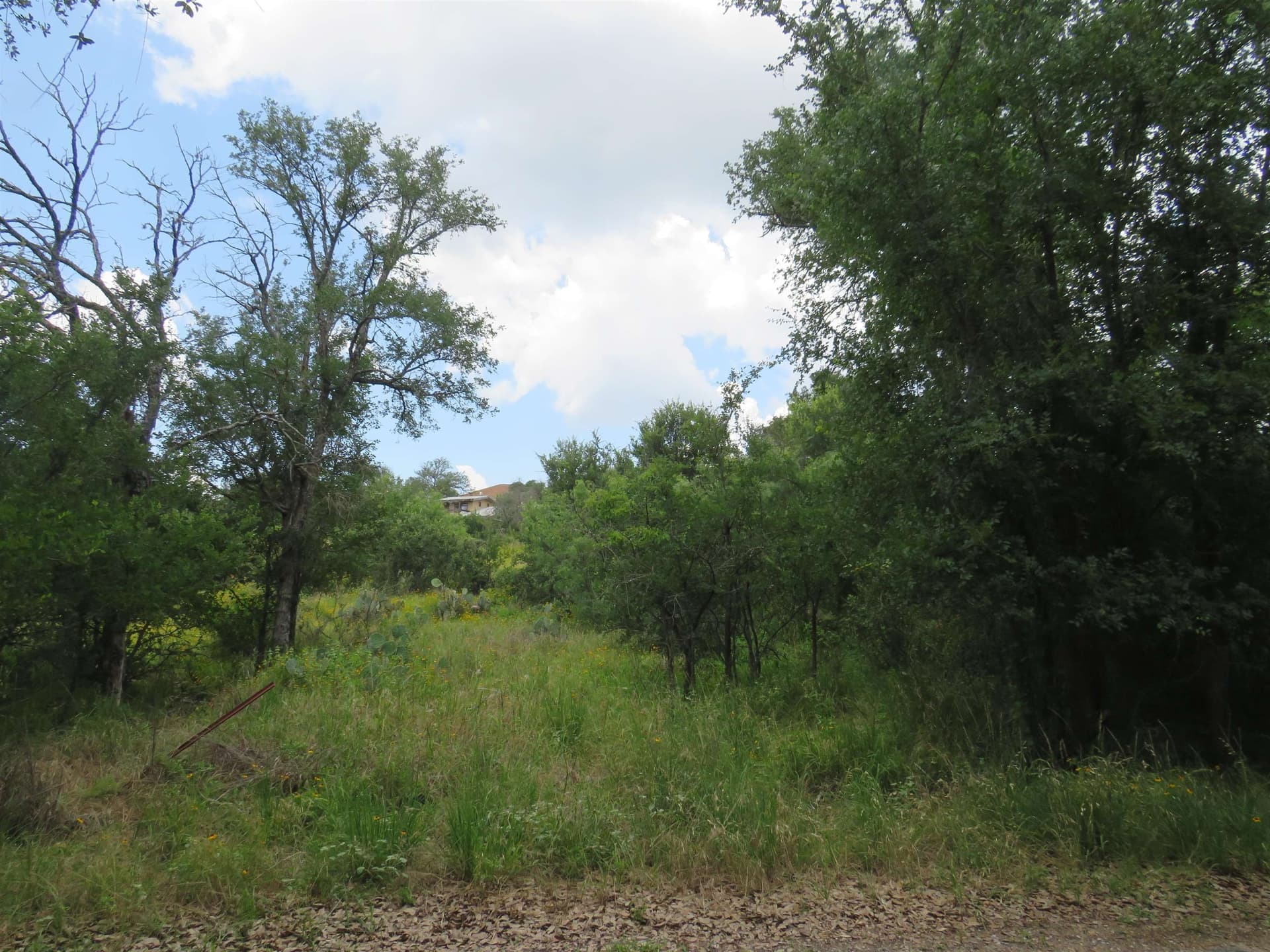 0.39 acres in Burnet County gallery image 3