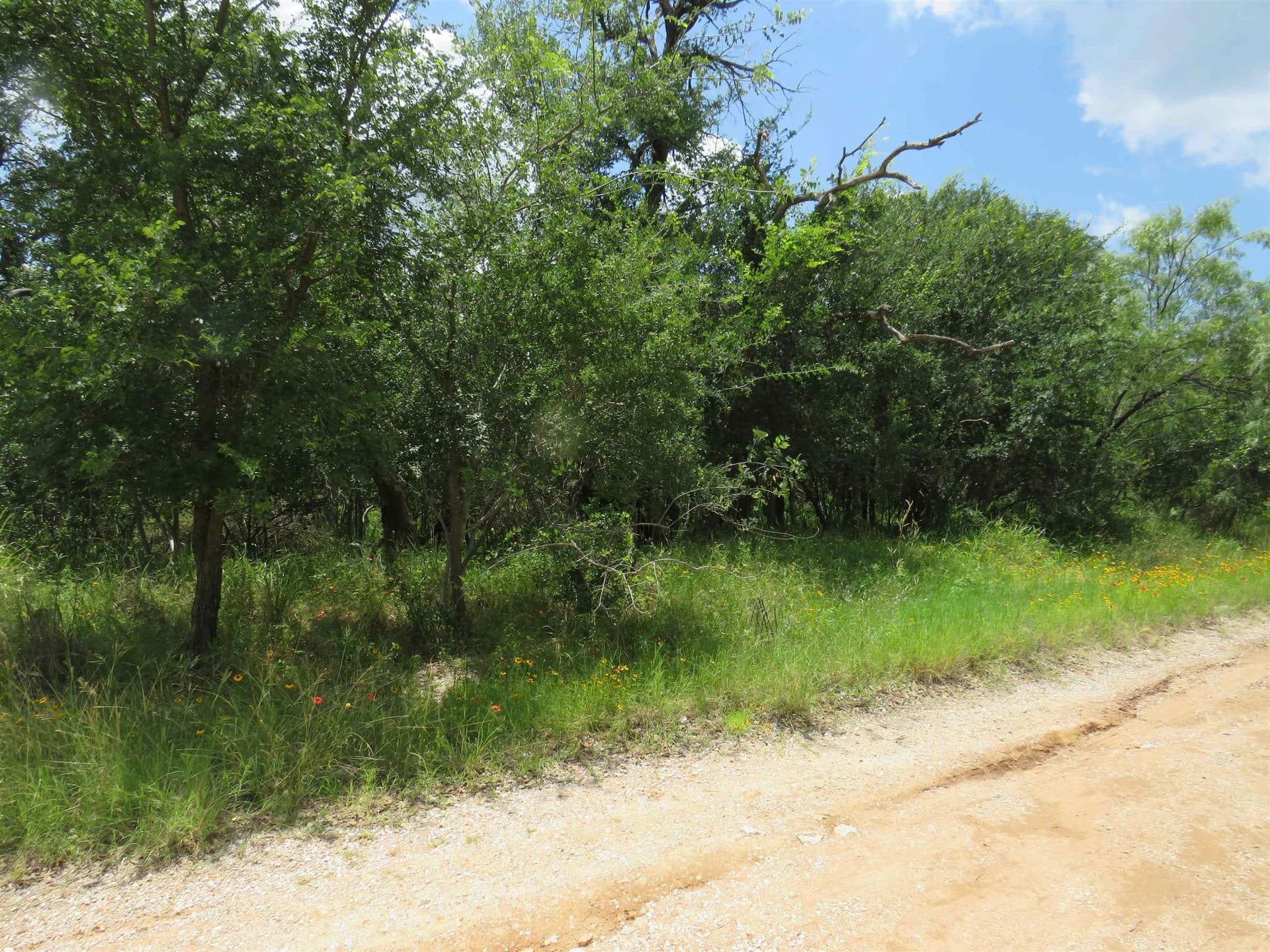 0.39 acres in Burnet County featured view