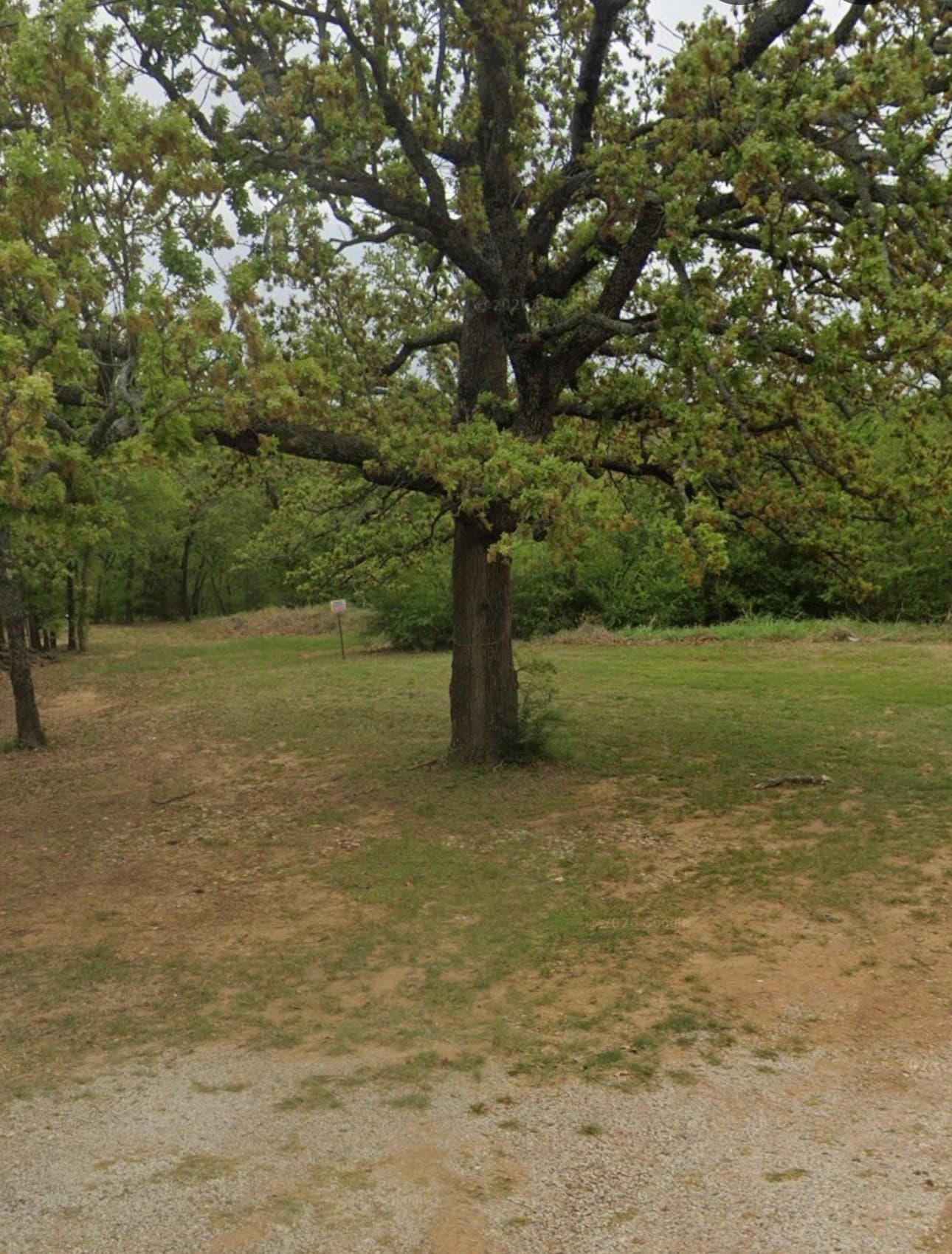 0.39 acres in Denton County gallery image 2