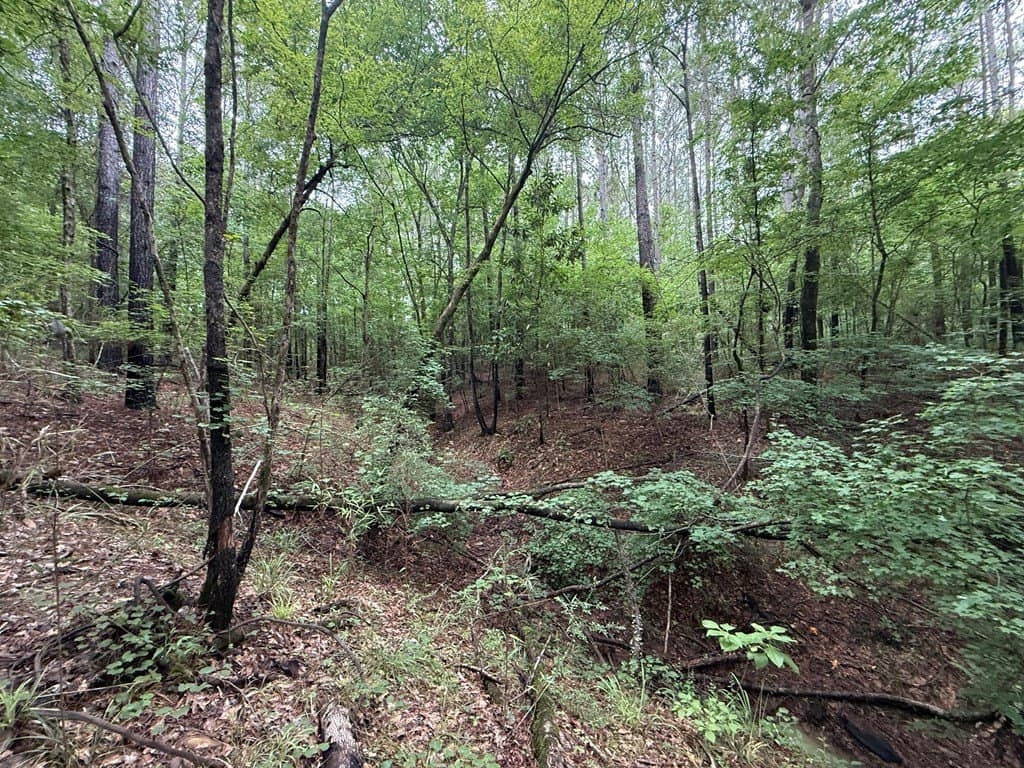 5 acres in Texas County - photo 12