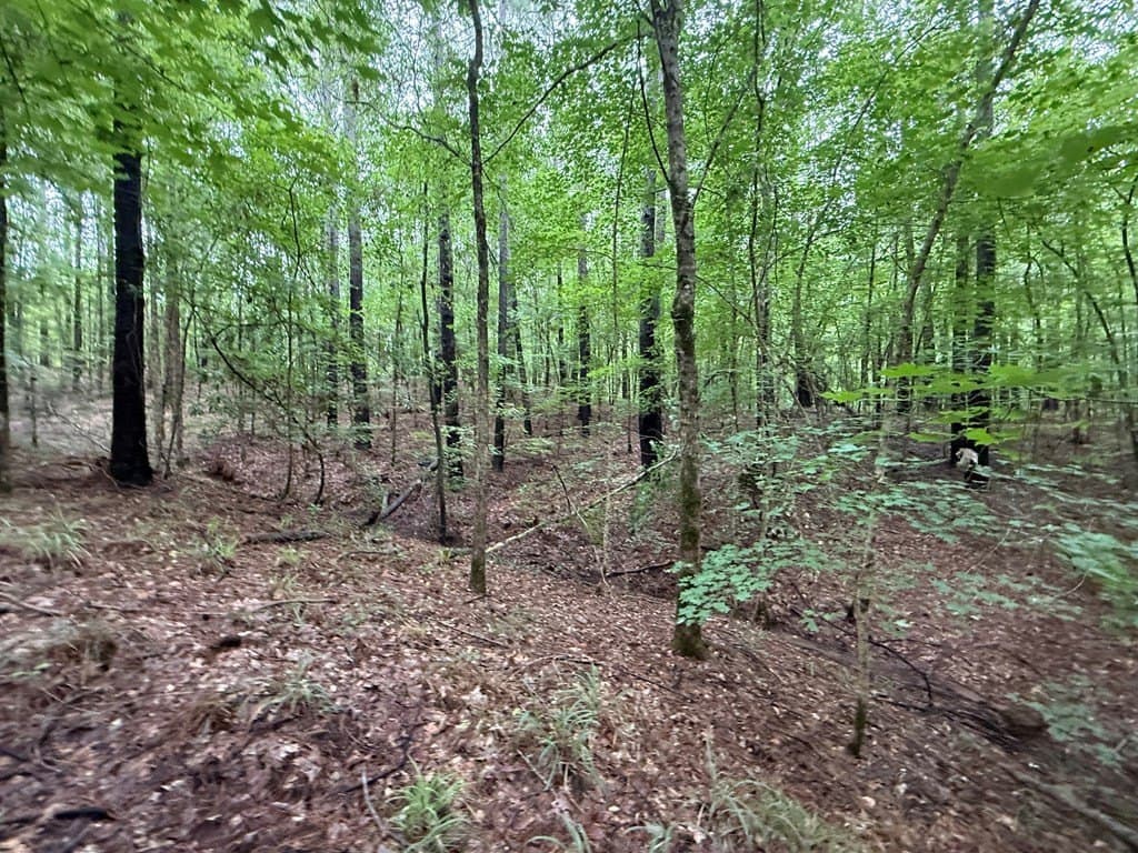 5 acres in Texas County - photo 10