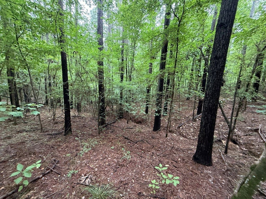 5 acres in Texas County - photo 13