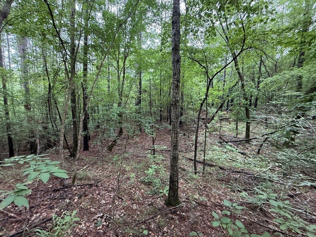 5 acres in Texas County - photo 14