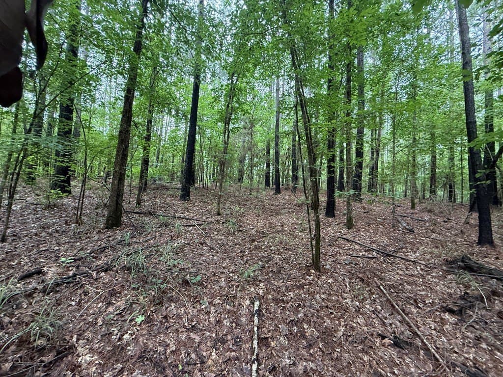 5 acres in Texas County - photo 9