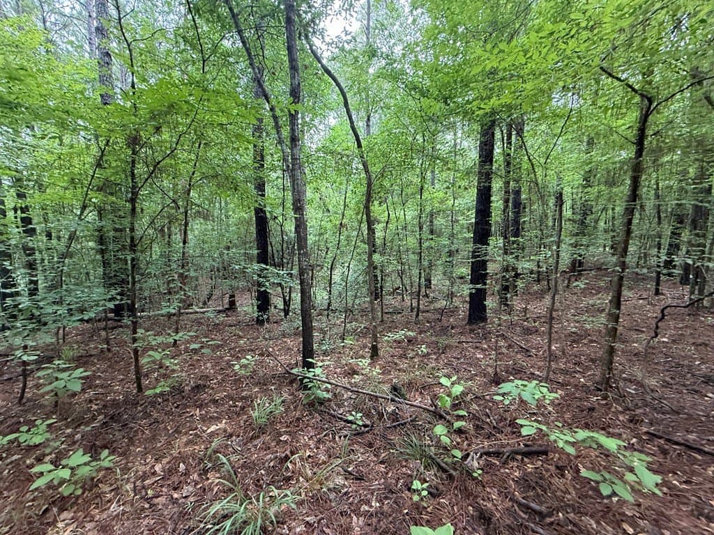 5 acres in Texas County - photo 15