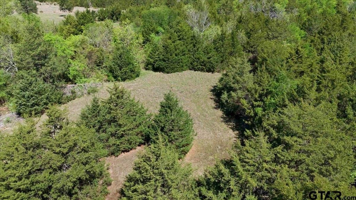 15 acres in Hunt County - photo 15
