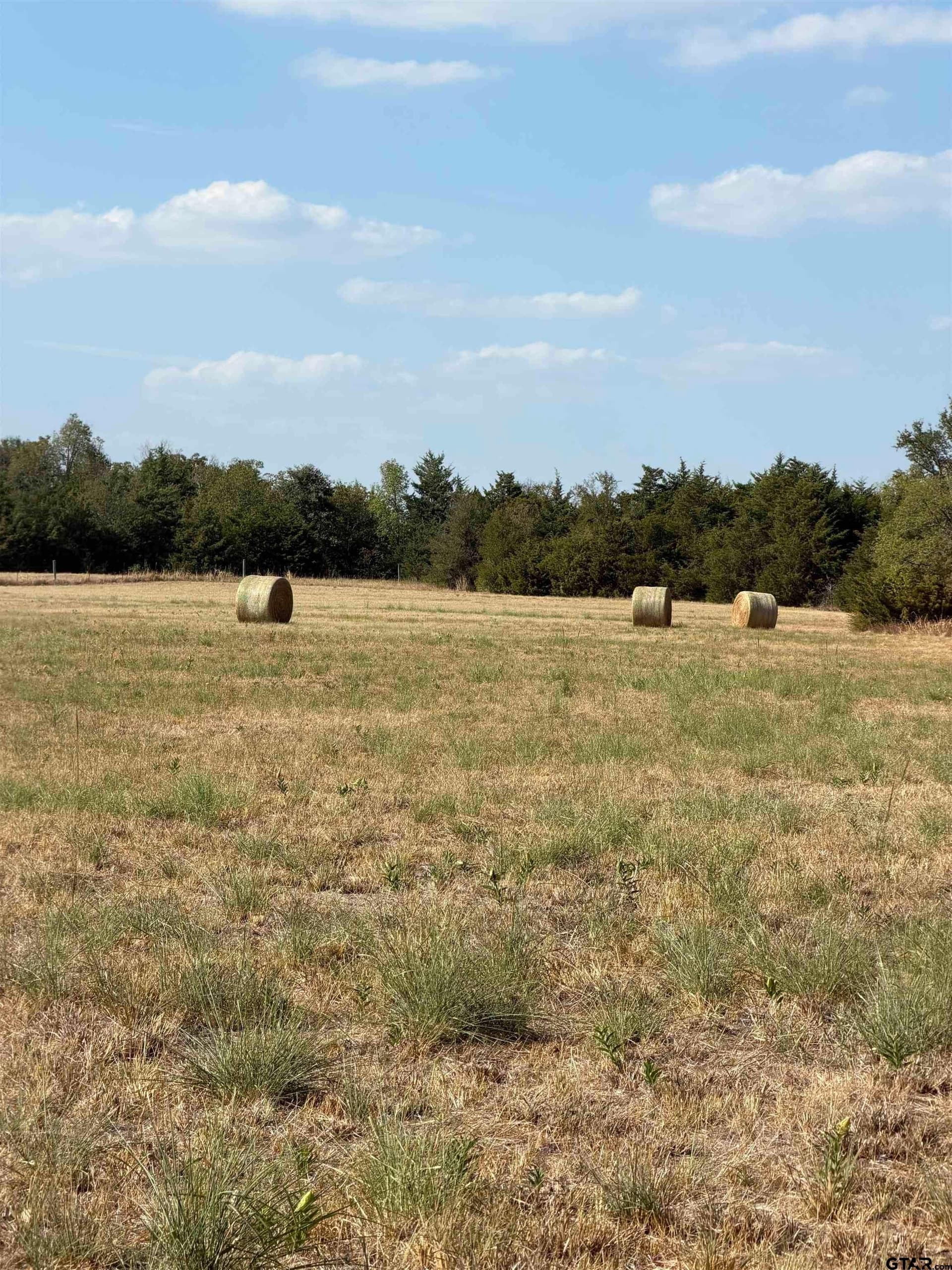 15 acres in Hunt County - photo 21