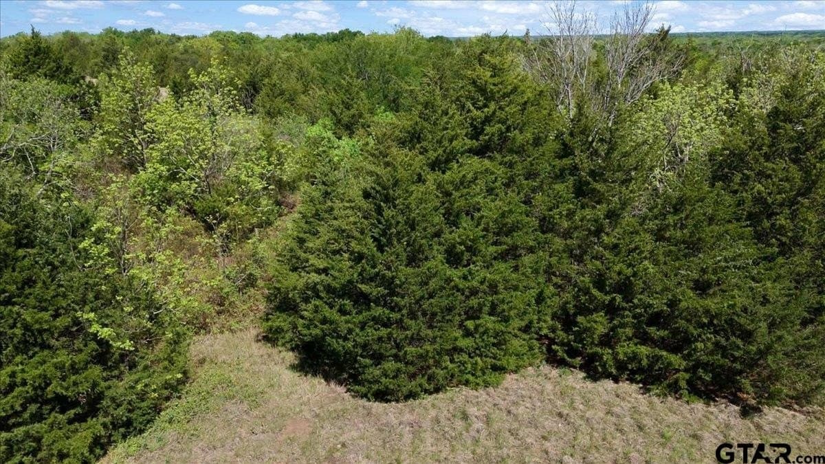 15 acres in Hunt County - photo 10