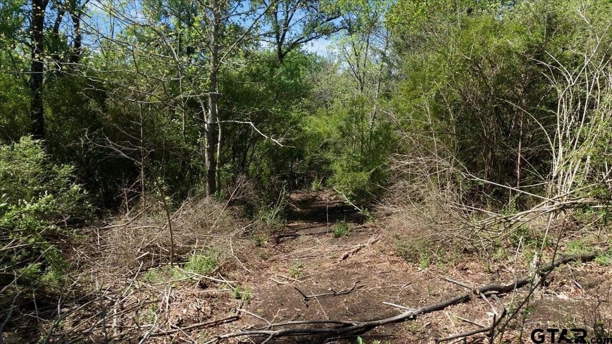 15 acres in Hunt County - photo 8