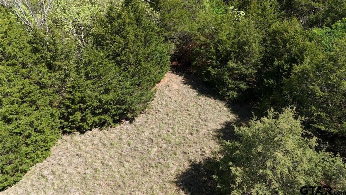 15 acres in Hunt County - photo 16