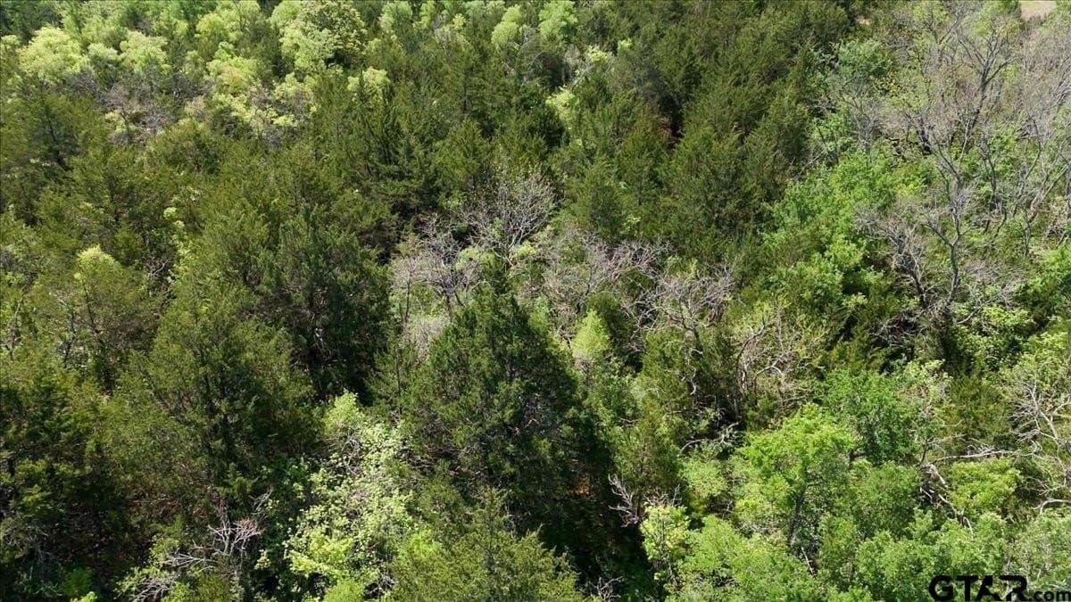 15 acres in Hunt County - photo 14