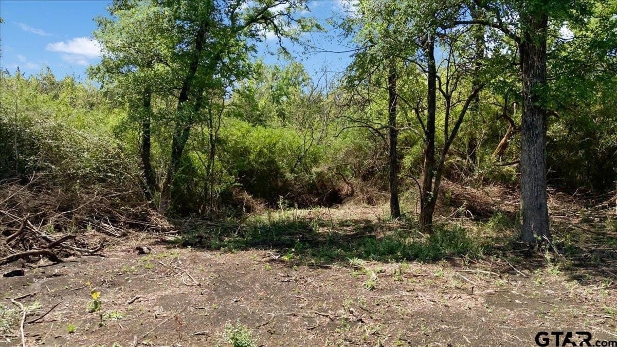 15 acres in Hunt County - photo 17