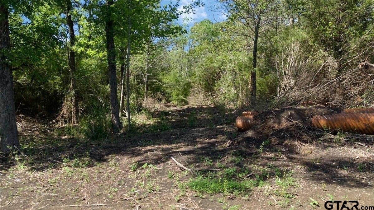 15 acres in Hunt County - photo 7