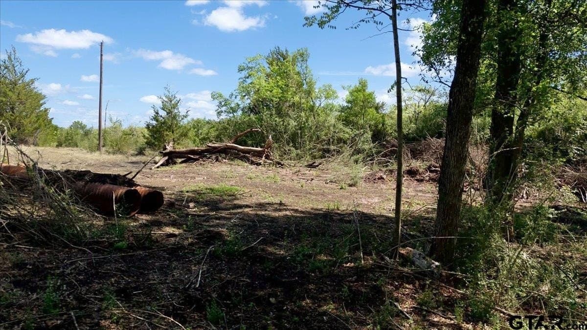 15 acres in Hunt County - photo 12
