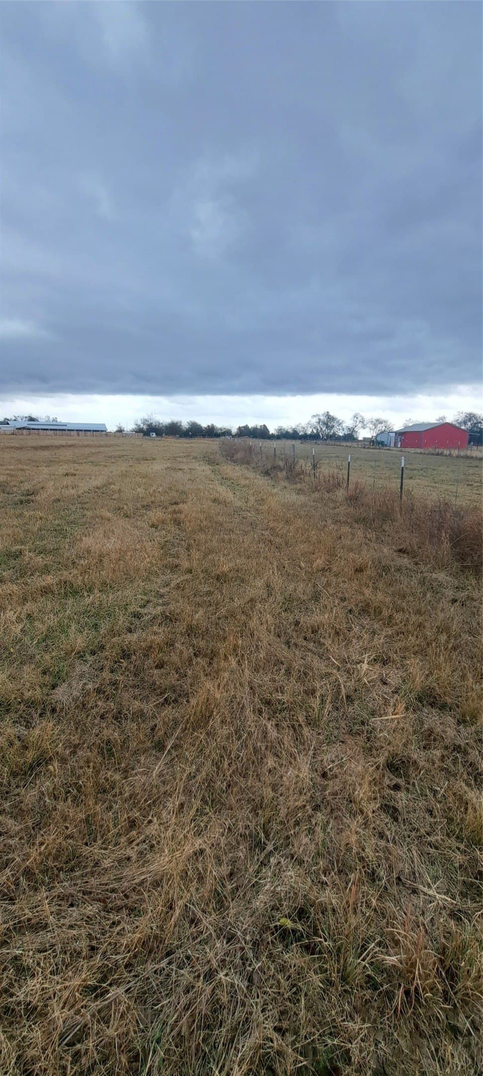5.97 acres in Hopkins County gallery image 2