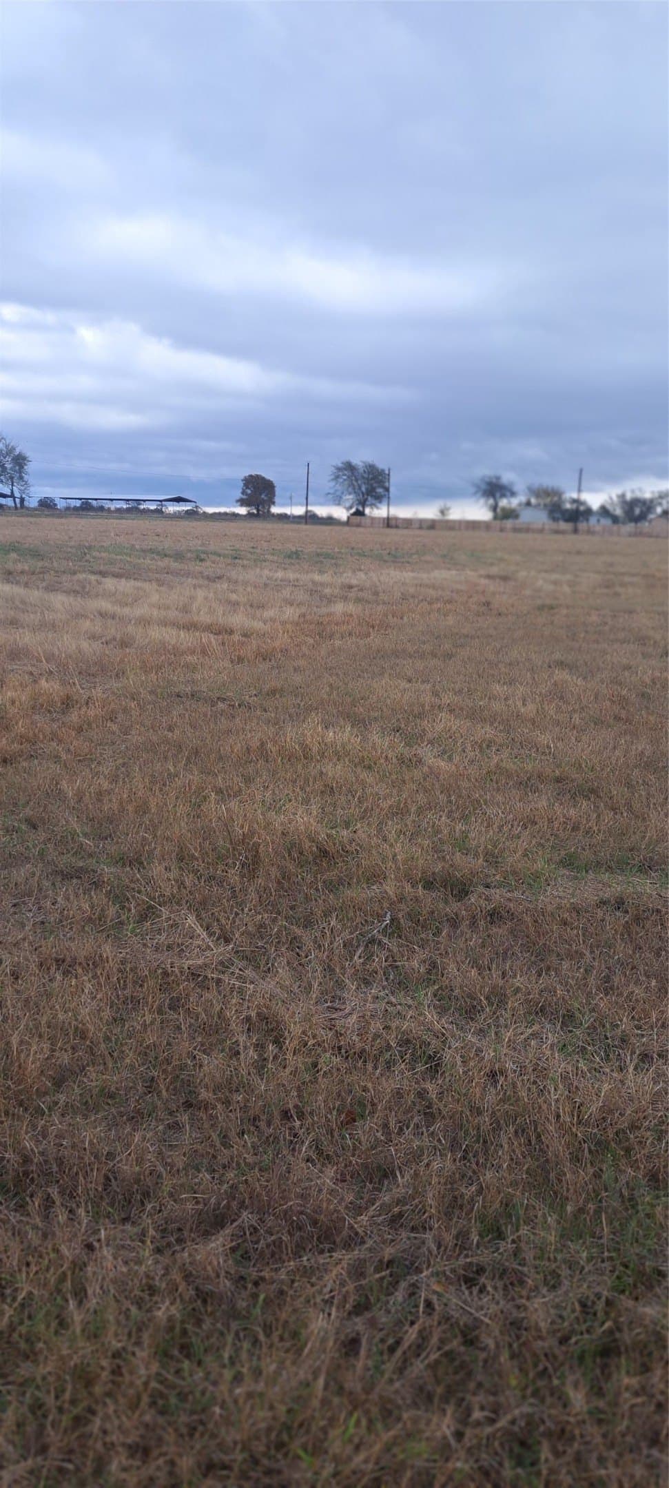 5.97 acres in Hopkins County gallery image 4