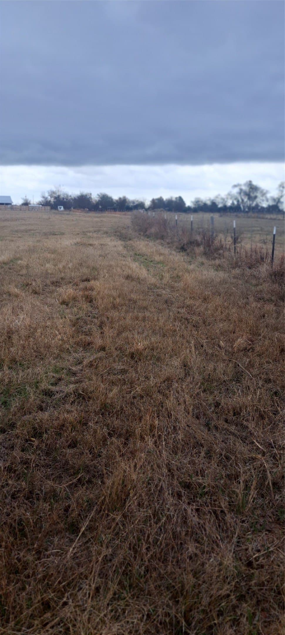 5.97 acres in Hopkins County gallery image 3