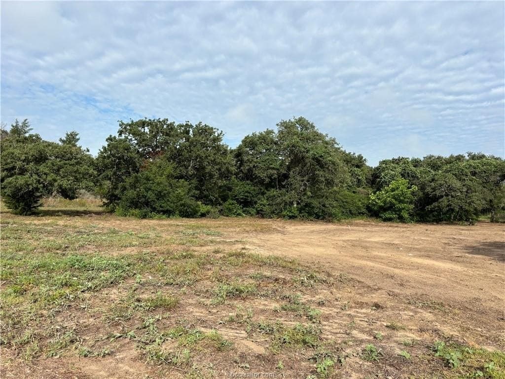 1.72 acres in Burleson County gallery image 3