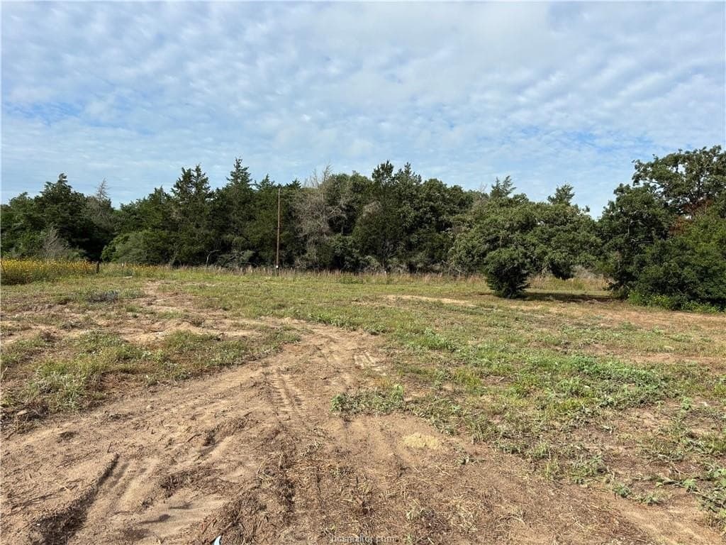 1.72 acres in Burleson County gallery image 4