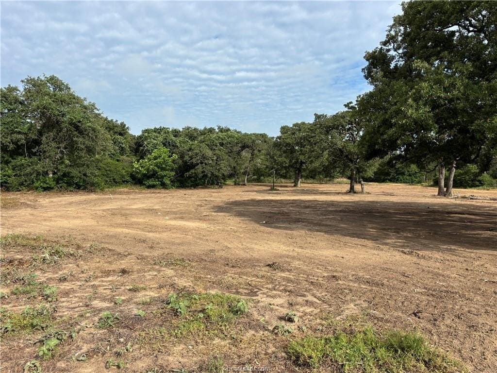 1.72 acres in Burleson County gallery image 2