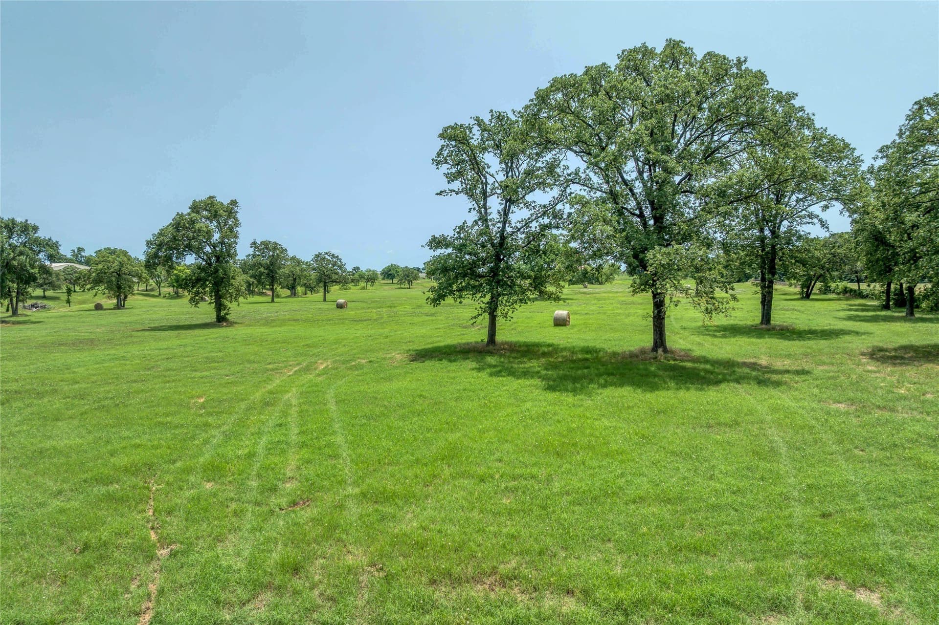 59.69 acres in Grayson County - photo 9
