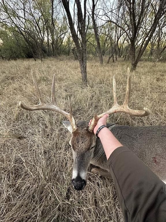 47.62 acres in Jones County gallery image 4