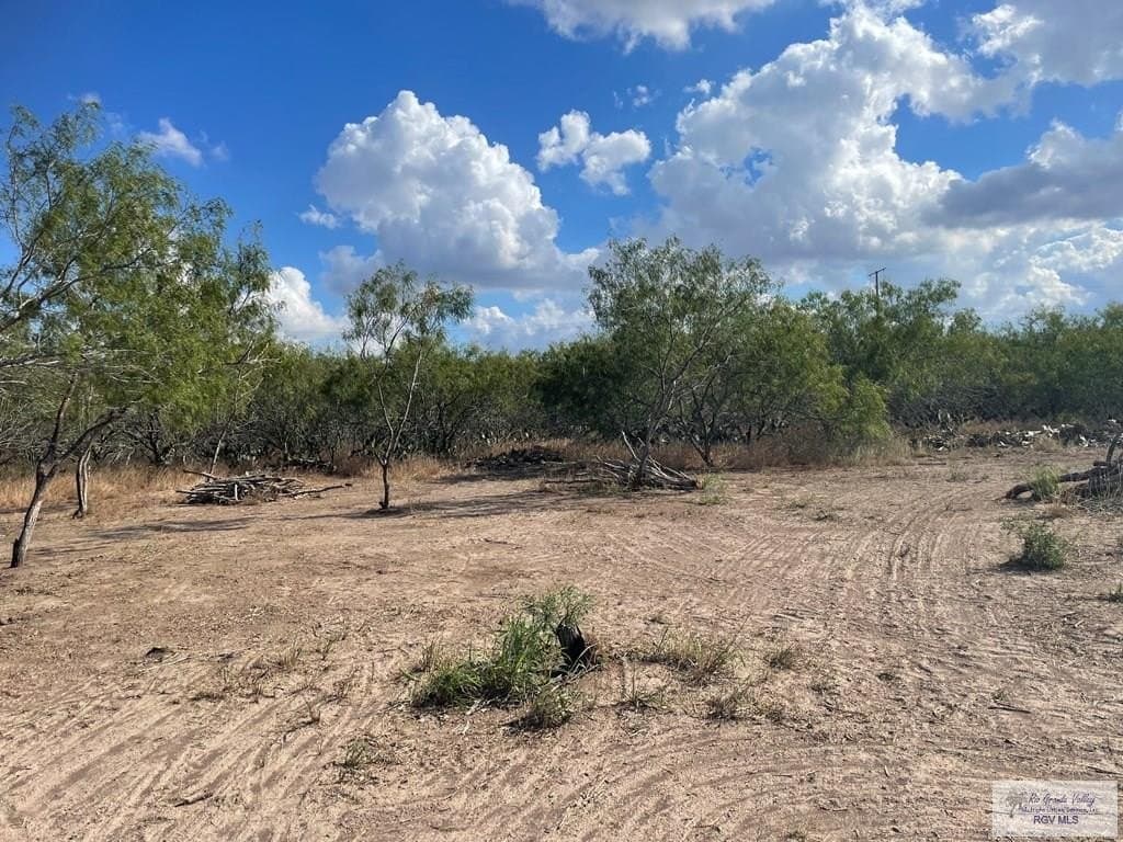 10 acres in CAMERON County - photo 5