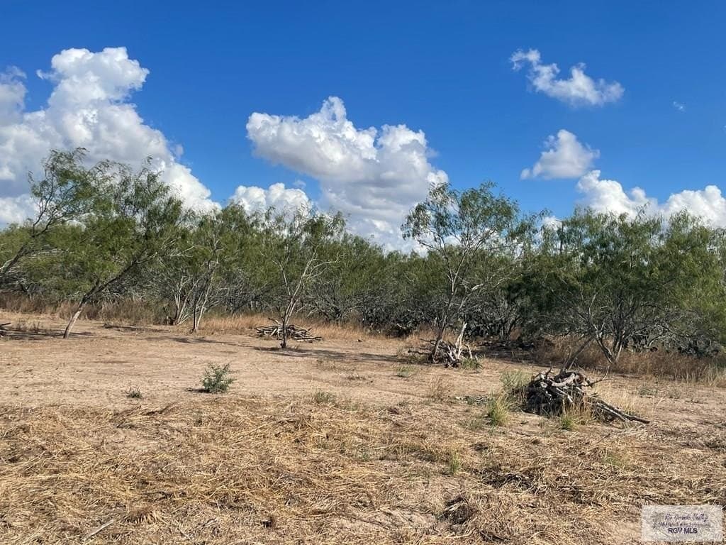 10 acres in CAMERON County - photo 7