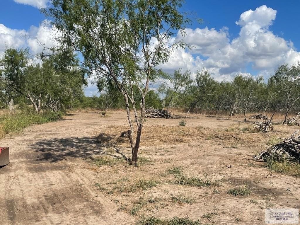 10 acres in CAMERON County - photo 9