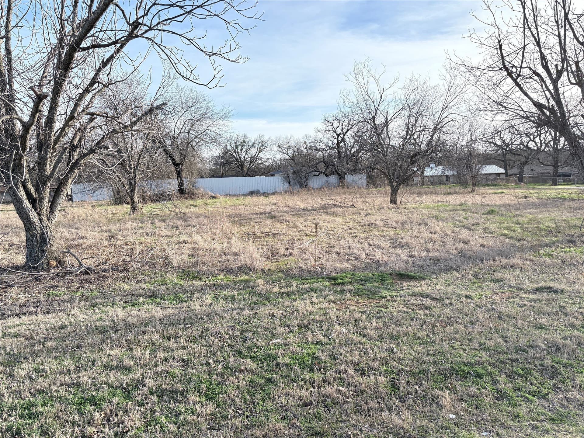 1 acres in Palo Pinto County - photo 2
