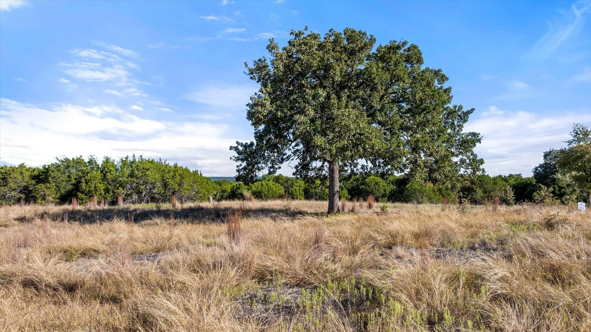 5.11 acres in Palo Pinto County - photo 21
