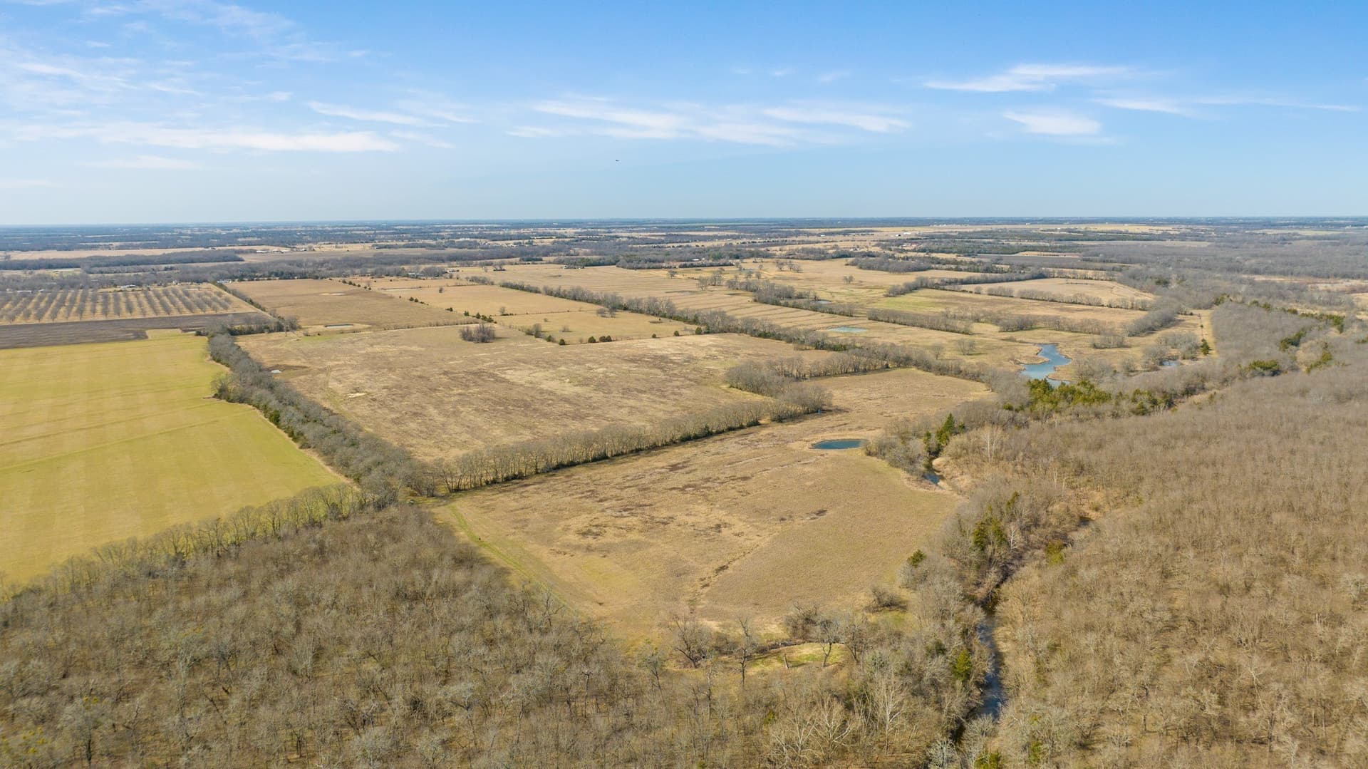 48.87 acres in Lamar County - photo 12