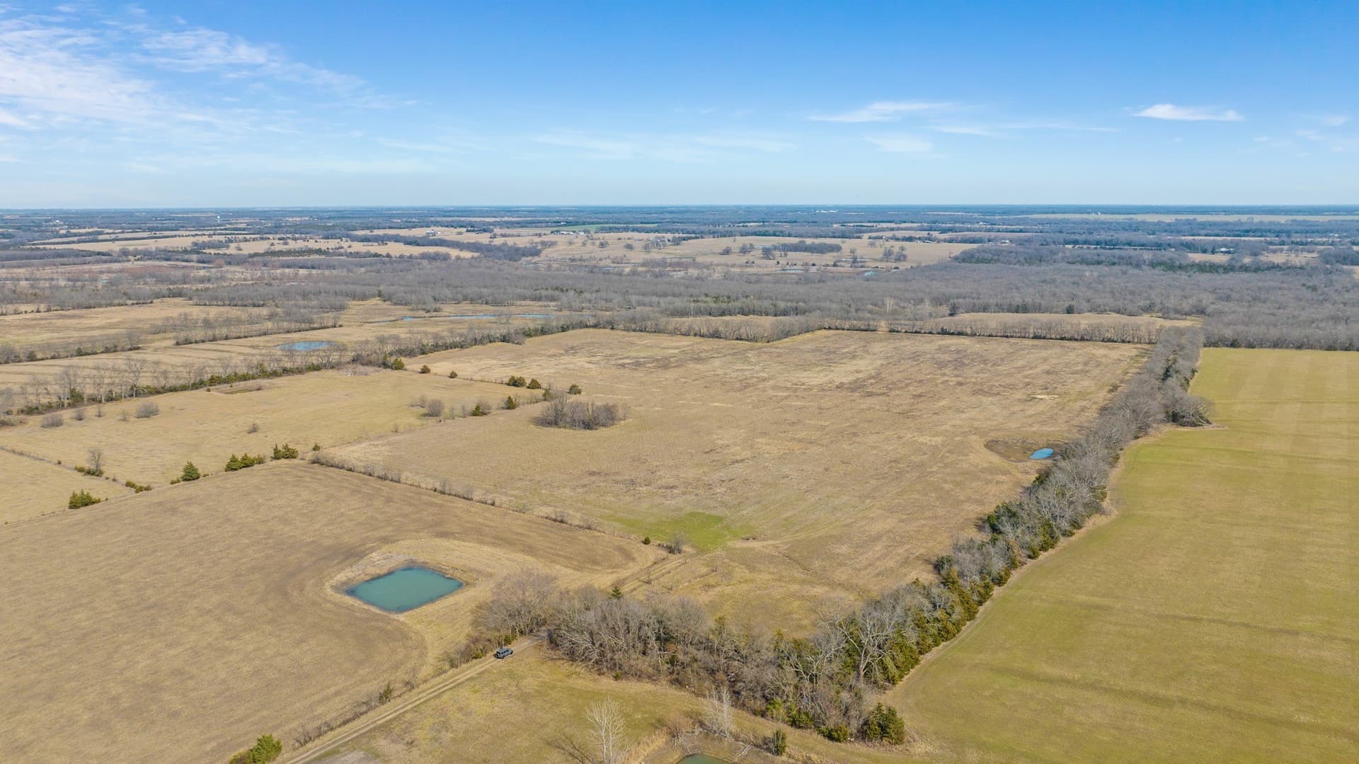 48.87 acres in Lamar County - photo 10