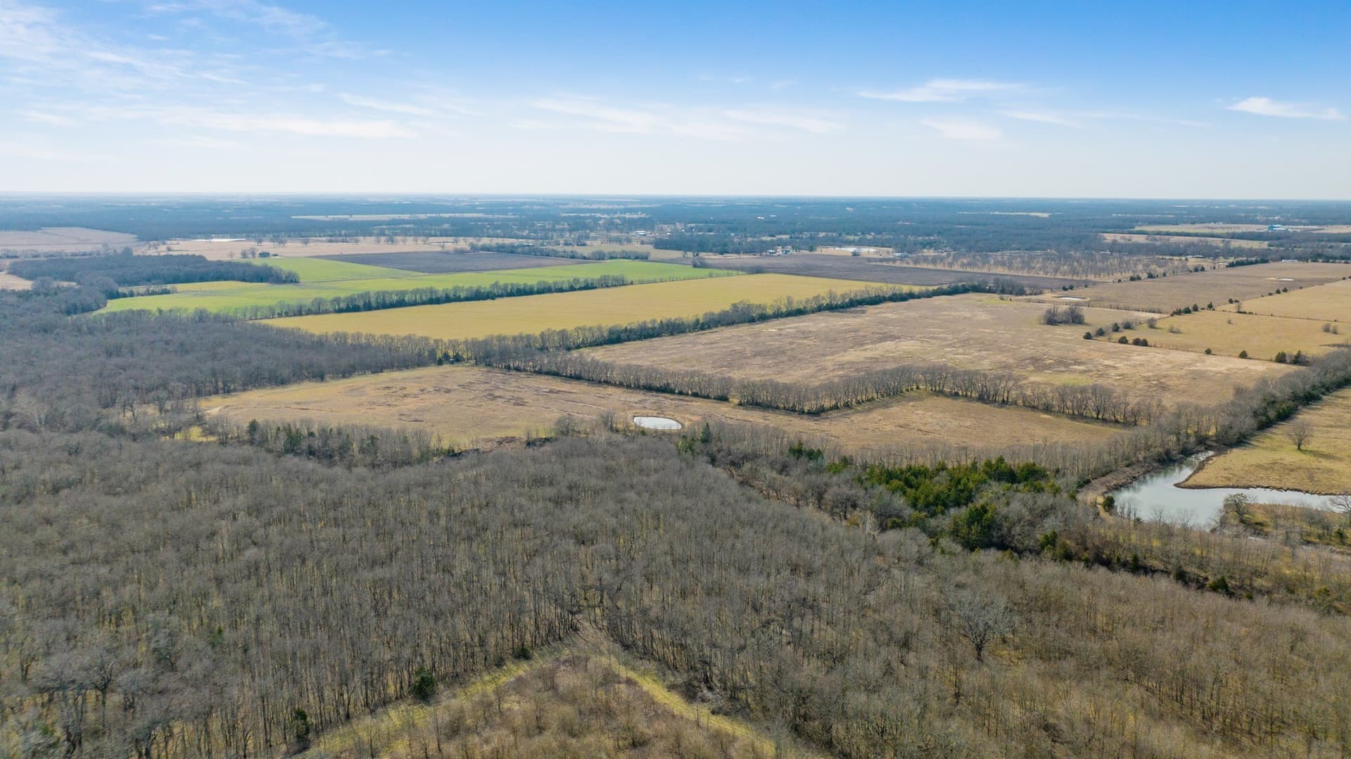 48.87 acres in Lamar County - photo 14