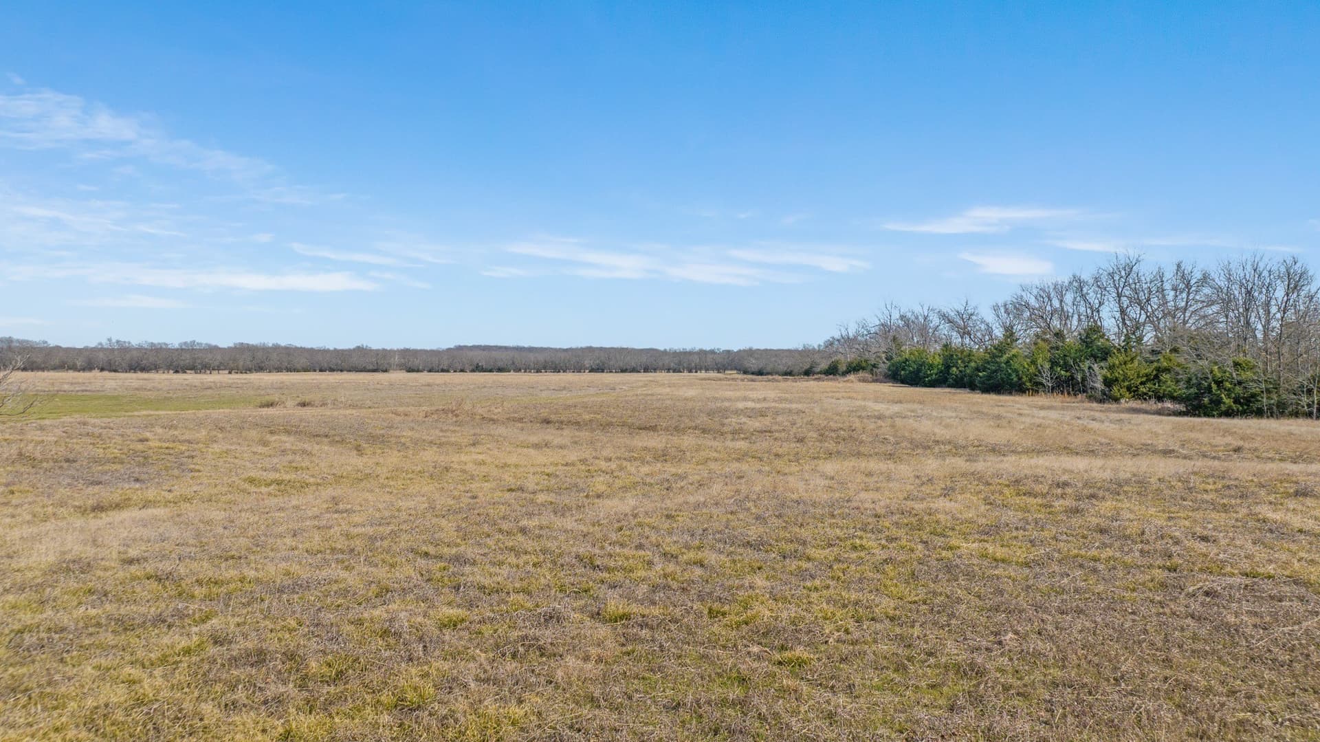 48.87 acres in Lamar County - photo 17