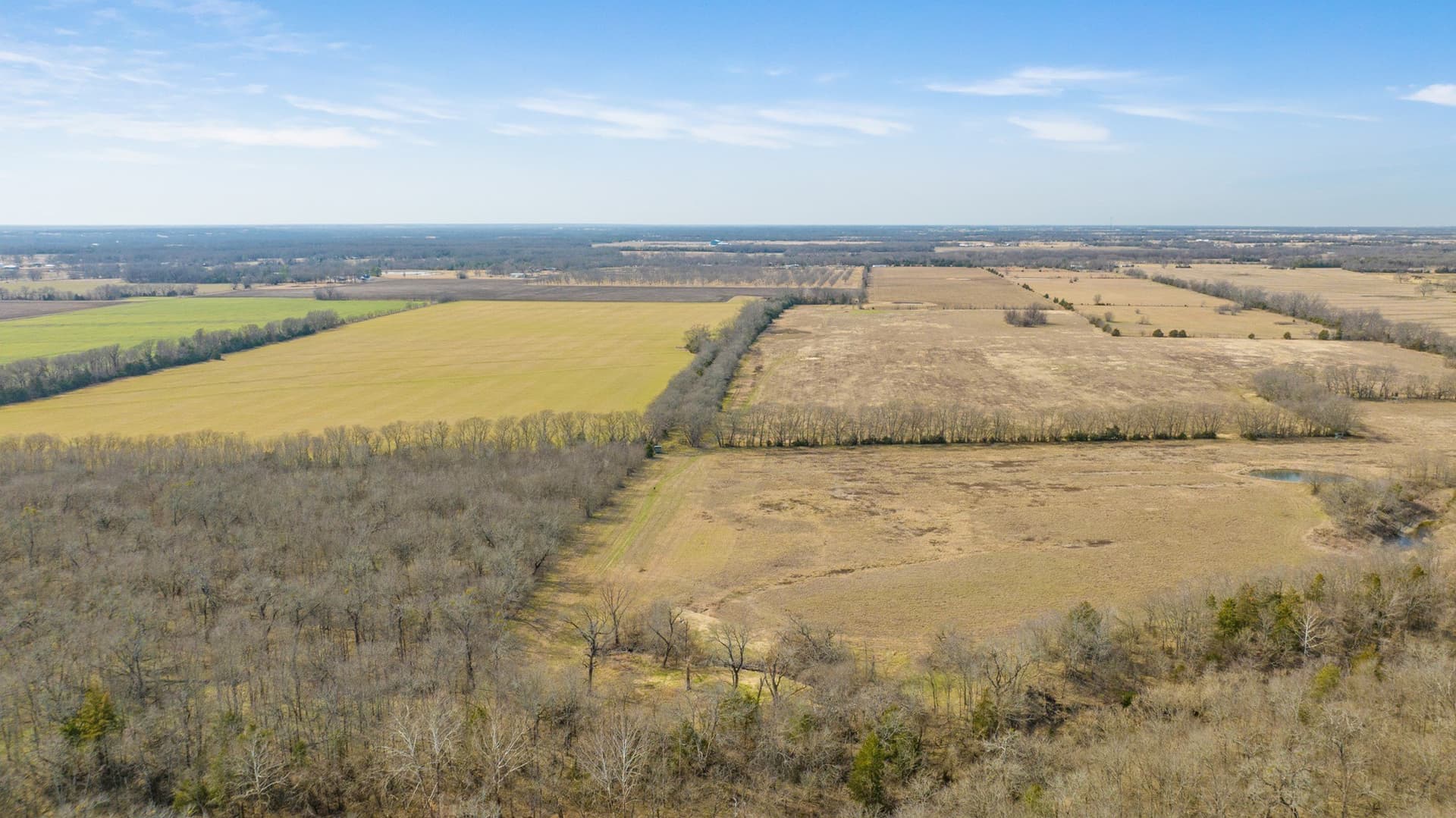 48.87 acres in Lamar County - photo 15