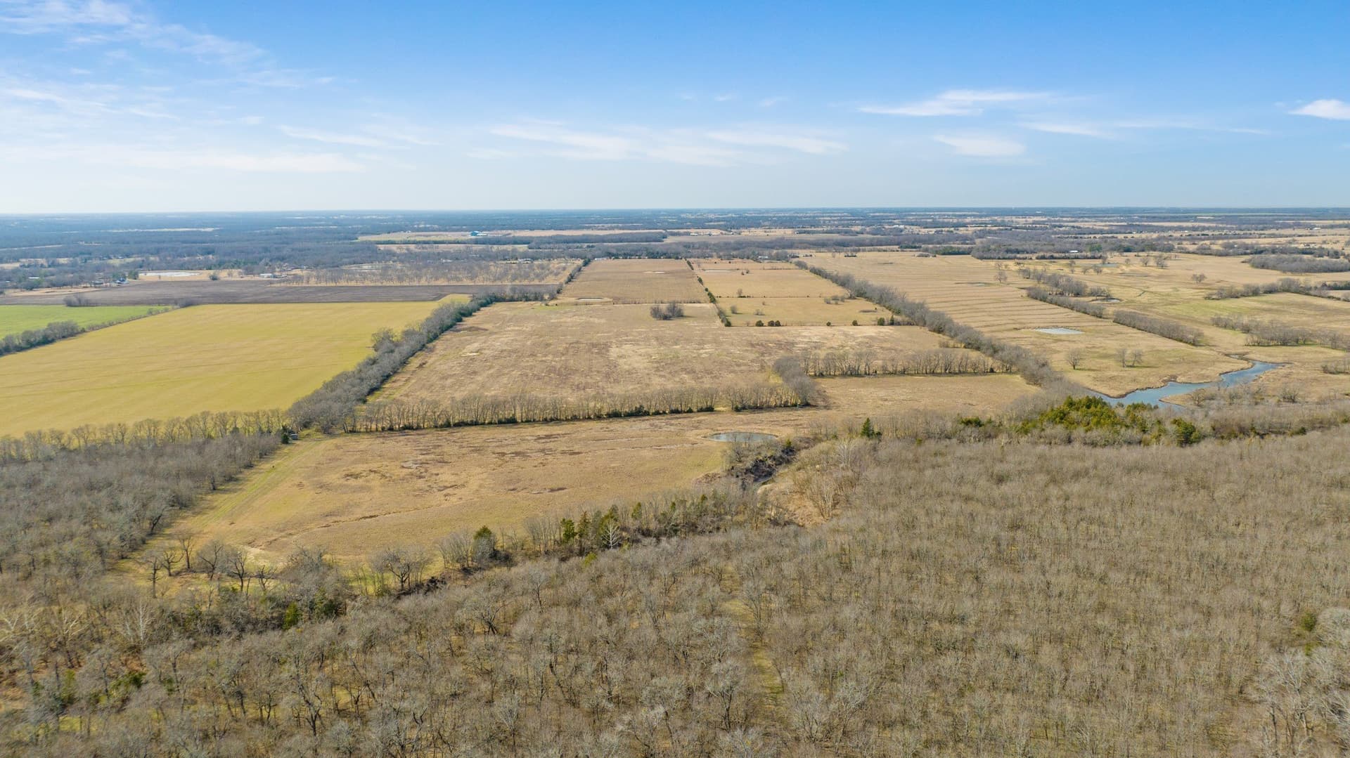 48.87 acres in Lamar County - photo 13