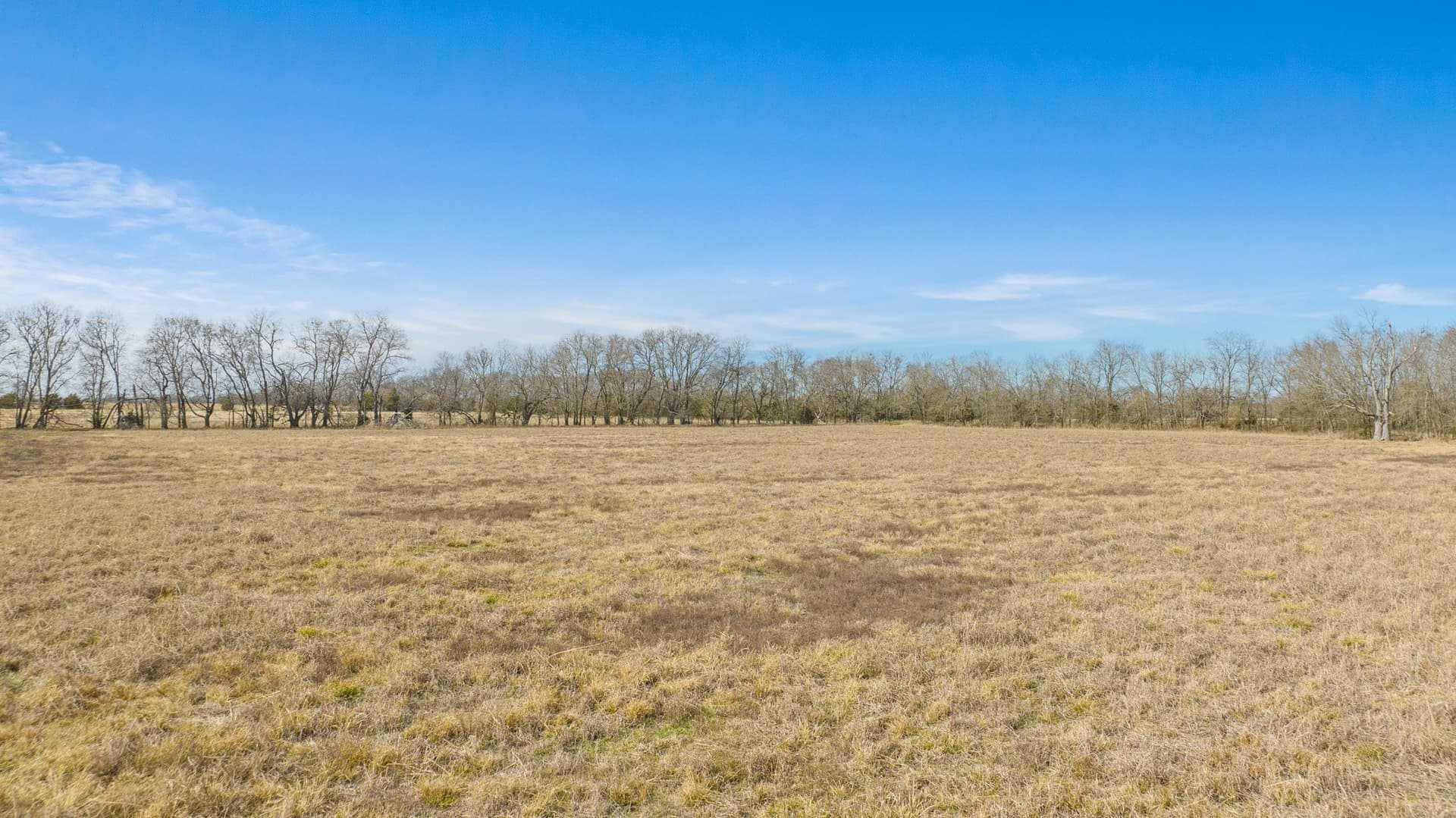 48.87 acres in Lamar County - photo 16