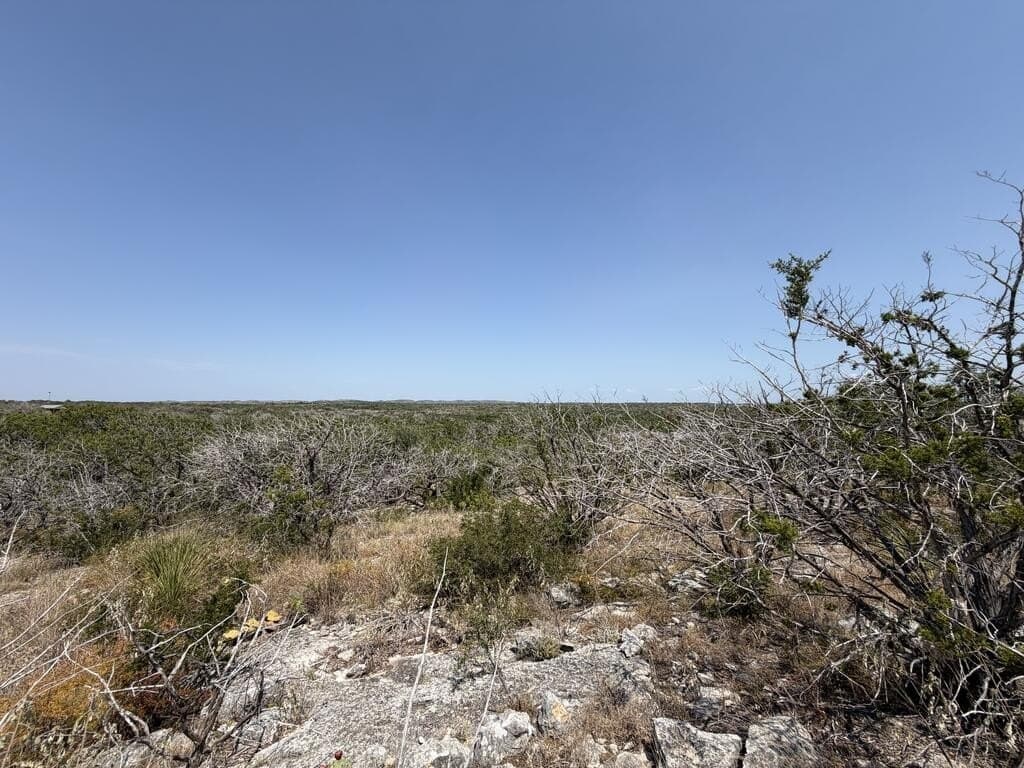 16.8 acres in Uvalde County - photo 31