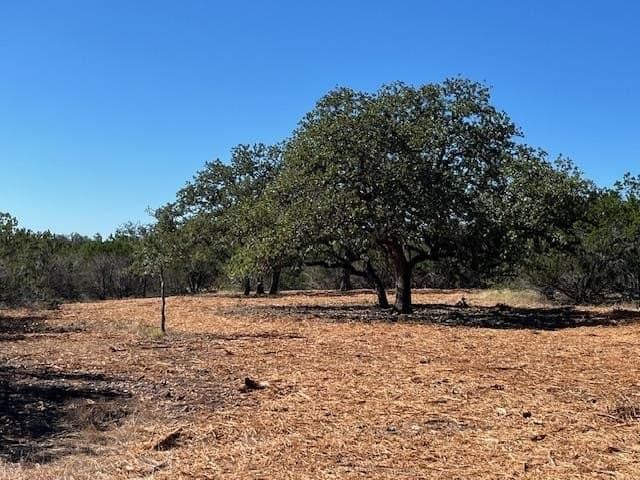 209 acres in Kerr County gallery image 3