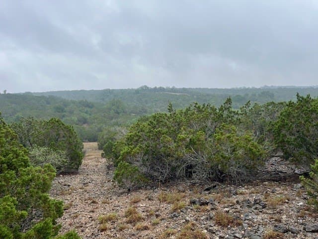 209 acres in Kerr County featured view