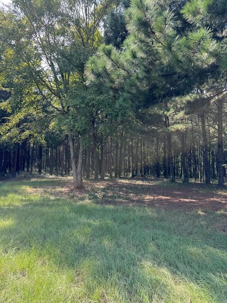 37.79 acres in Texas County - photo 9