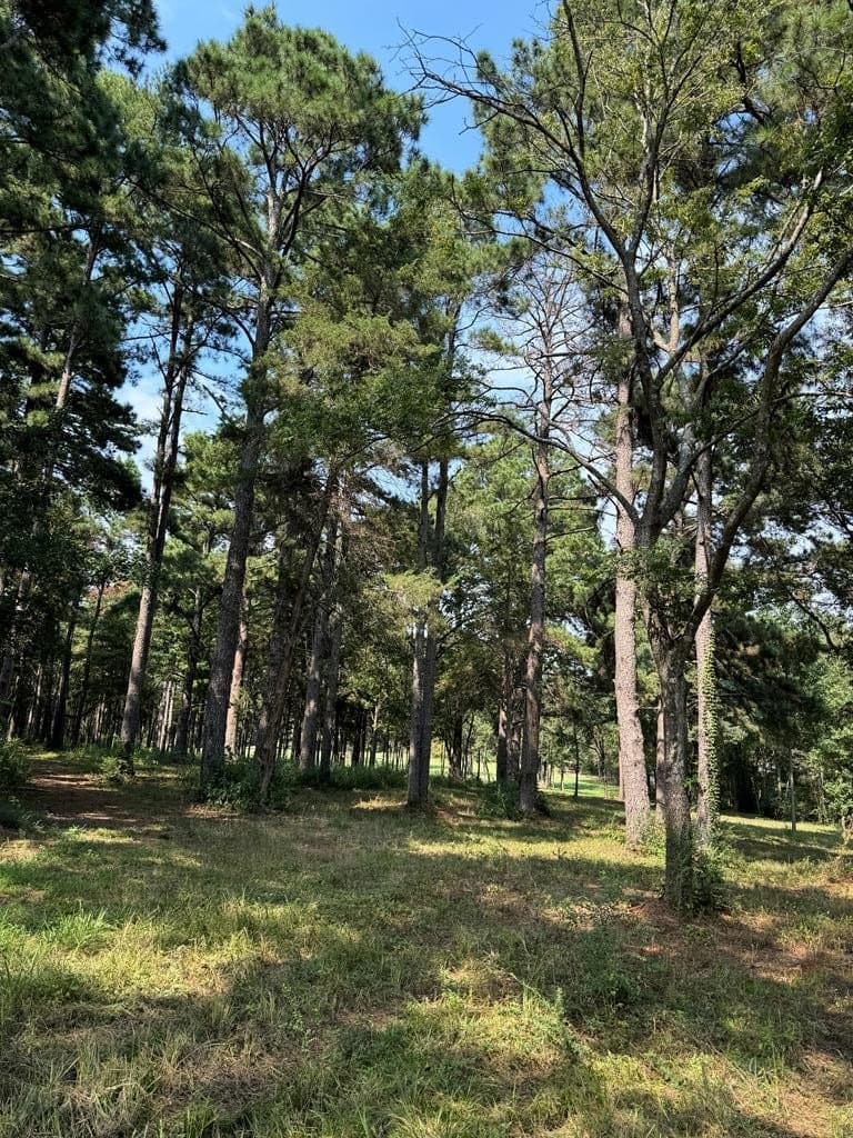 37.79 acres in Texas County