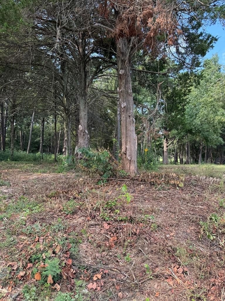 37.79 acres in Texas County featured view